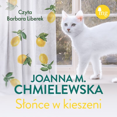 Słońce w kieszeni – okładka audiobooka, autor Chmielewska Joanna M.