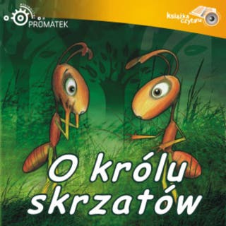 O królu skrzatów – okładka audiobooka, autor Ryszard Adam Gruchawka