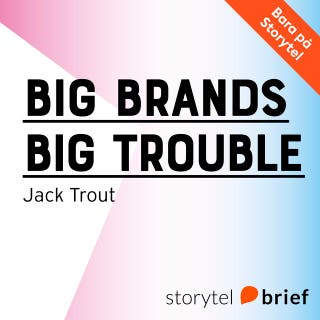 Big Brands Big Trouble