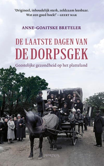 De laatste dagen van de dorpsgek: Geestelijke gezondheid op het platteland