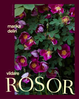 Vildare rosor – omslag till ljudboken av Marika Delin