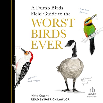 A Dumb Birds Field Guide to the Worst Birds Ever – omslag til lydbogen af Matt Kracht