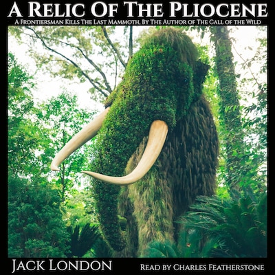 A Relic Of The Pliocene