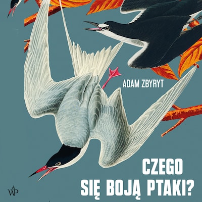 Czego się boją ptaki?