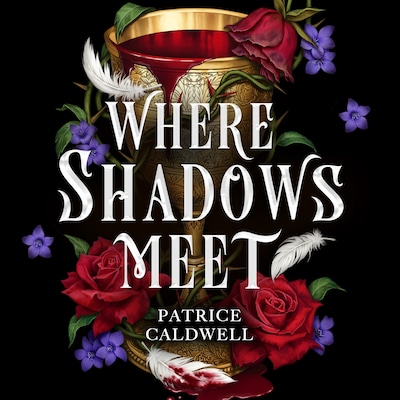 Where Shadows Meet