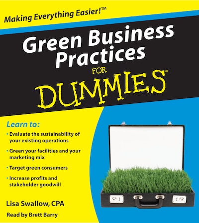 Green Business Practices for Dummies – omslag til lydbogen af Lisa Swallow