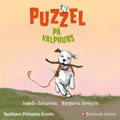 Puzzel på valpkurs