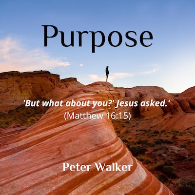 Purpose – omslag til lydbogen af Peter Walker