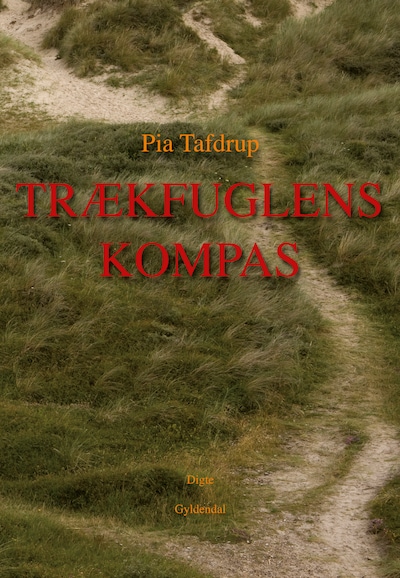 Trækfuglens kompas – omslag til lydbogen af Pia Tafdrup