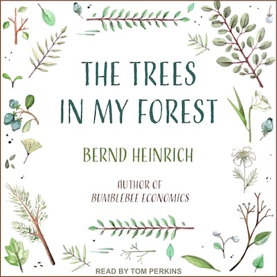 The Trees in My Forest – omslag til lydbogen af Bernd Heinrich