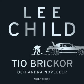 Tio brickor och andra noveller