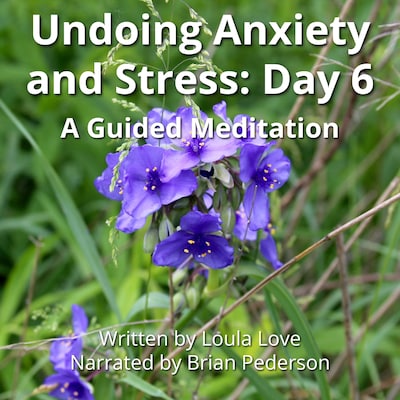Undoing Anxiety and Stress: Day 6 – omslag til lydbogen af Loula Love