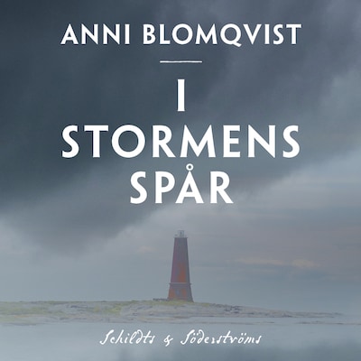 I stormens spår