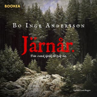 Järnår