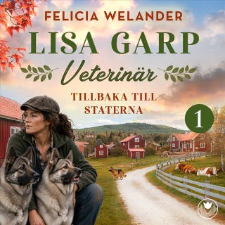 Tillbaka till staterna – omslag till ljudboken av Felicia Welander