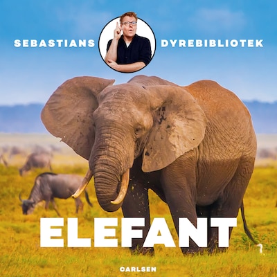 Sebastians dyrebibliotek - Elefant – omslag til lydbogen af Sebastian Klein