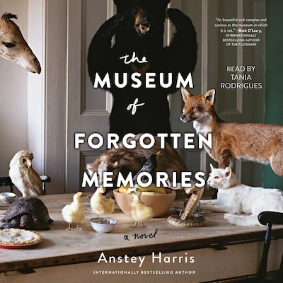 The Museum of Forgotten Memories – omslag til lydbogen af Anstey Harris