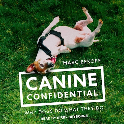Canine Confidential – omslag til lydbogen af Marc Bekoff