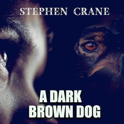 A Dark Brown Dog – omslag til lydbogen af Stephen Crane