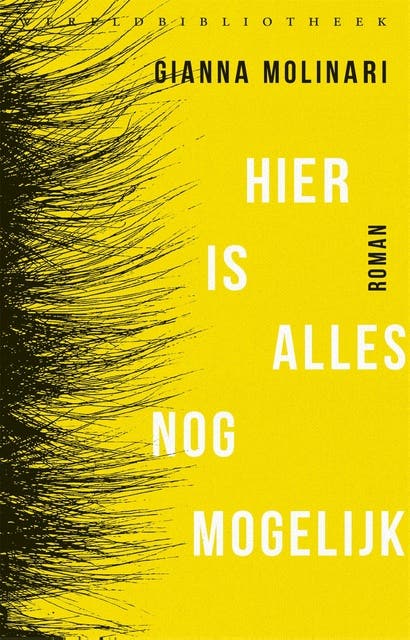 Hier is alles nog mogelijk – omslag van het luisterboek van Gianna Molinari