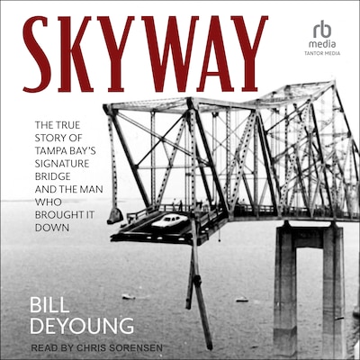 Skyway – omslag til lydbogen af Bill DeYoung