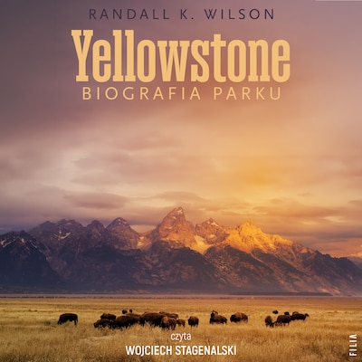 Yellowstone
