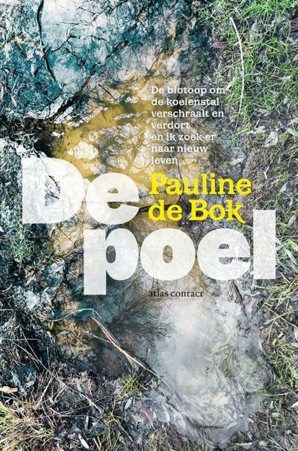 De poel – omslag van het luisterboek van Pauline de Bok