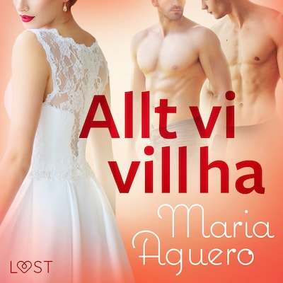 Allt vi vill ha - erotisk novell