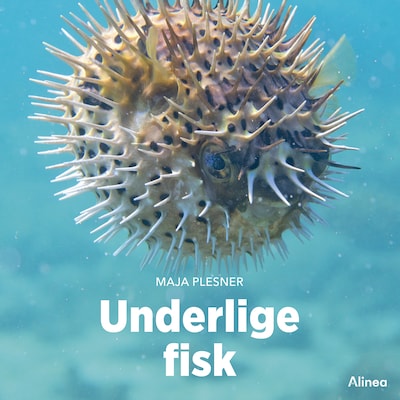 Underlige fisk, Grøn Fagklub – omslag til lydbogen af Maja Plesner