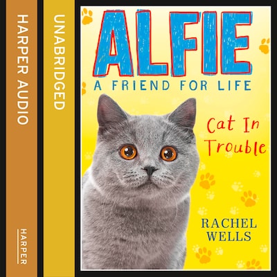 Alfie Cat In Trouble – omslag til lydbogen af Rachel Wells