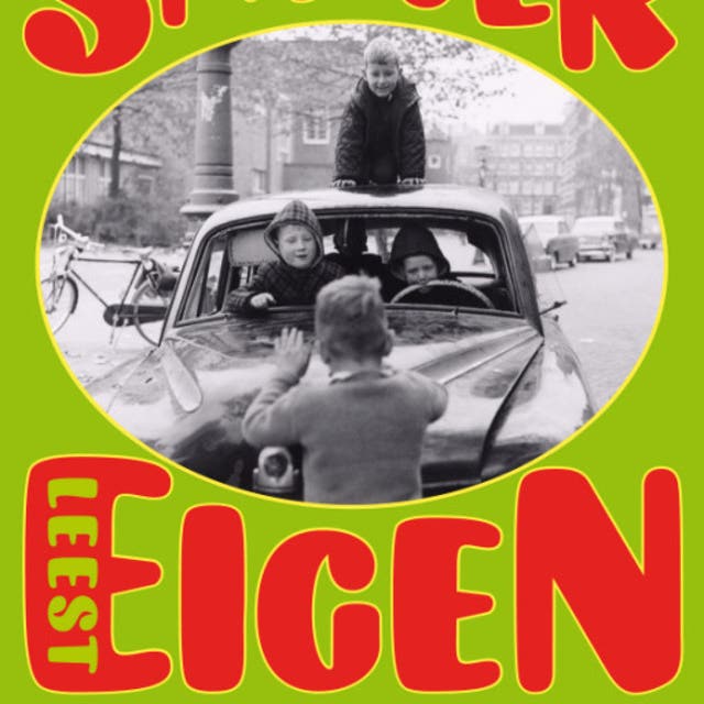 Eigen schuld: en andere verhalen