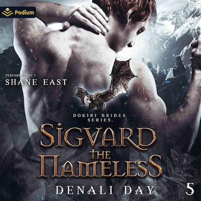 Sigvard the Nameless – omslag til lydbogen af Denali Day