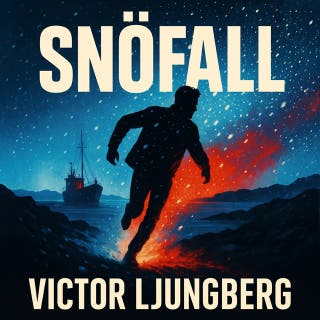 Snöfall