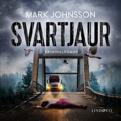 Svartjaur