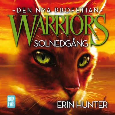 Warriors - Solnedgång