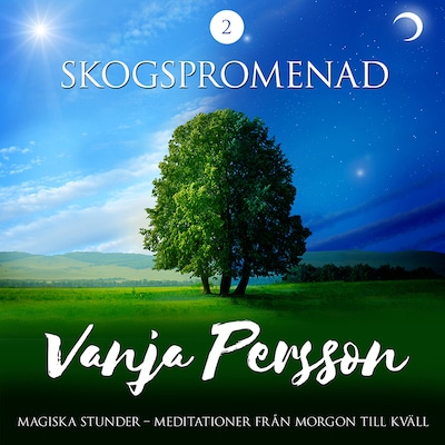 Meditation – Skogspromenad