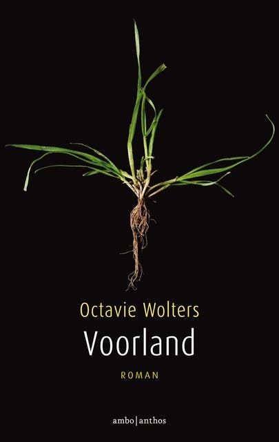 Voorland – omslag van het luisterboek van Octavie Wolters