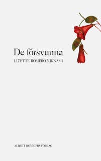 De försvunna – omslag till ljudboken av Lizette Romero Niknami