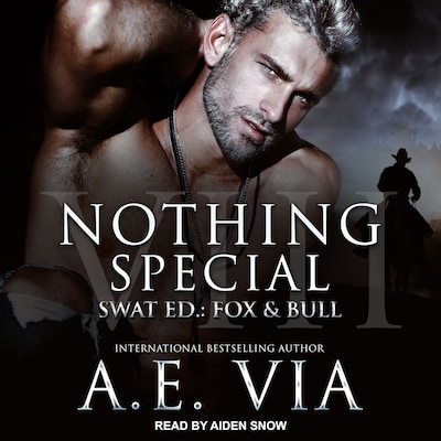 Nothing Special VIII – omslag til lydbogen af A.E. Via