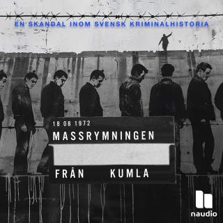 Planen smids – omslag till ljudboken av Naudio,Tomas Rajnai
