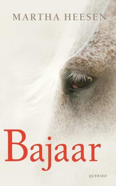 Bajaar – omslag van het luisterboek van Martha Heesen
