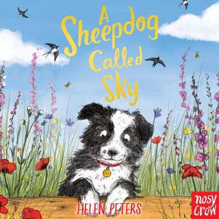 A Sheepdog Called Sky