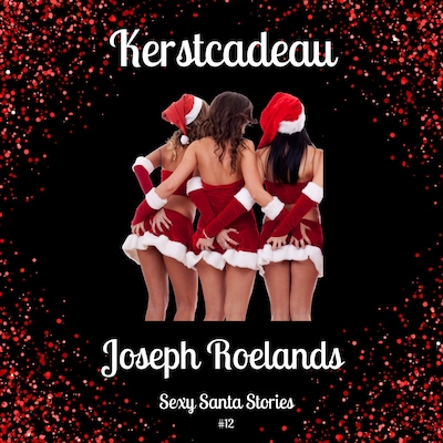 Kerstcadeau: Sexy Santa Kerst 12