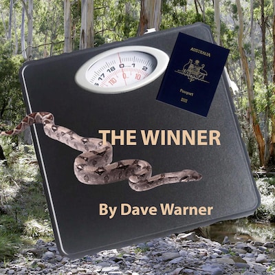 The Winner – omslag til lydbogen af Dave Warner