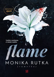 Flame – okładka audiobooka, autor Monika Rutka