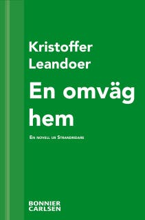En omväg hem : en skräcknovell ur Strandridare