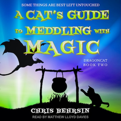 A Cat's Guide to Meddling with Magic – omslag til lydbogen af Chris Behrsin