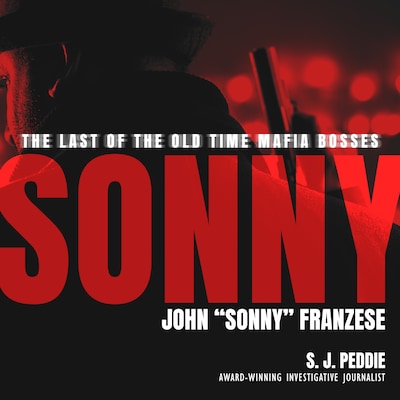 Sonny – omslag til lydbogen af S.J. Peddie