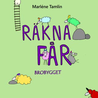 Räkna får Brobygget