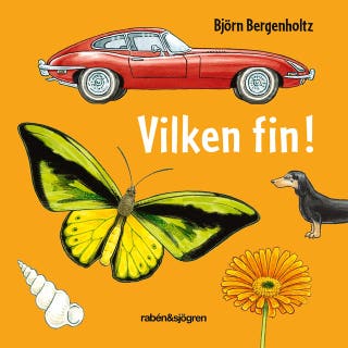 Vilken fin! – omslag till ljudboken av Björn Bergenholtz